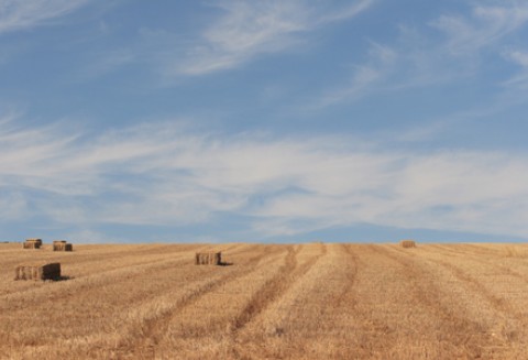 Rozmowy o przyszłości WPR na Politechnice Opolskiej