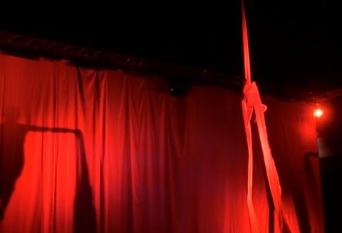 Lely pozytywnie zaskoczyło