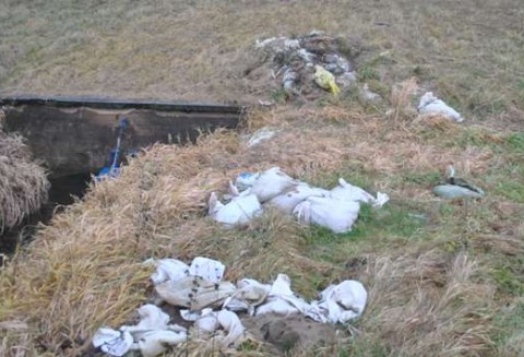 Problemy w melioracjach