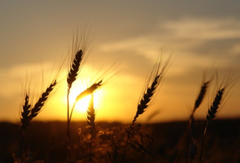 Rozmowy polsko - chińskie