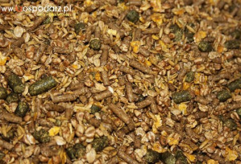 Co w końcu z tym zakazem – będzie czy nie?