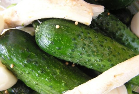 Pieniędzy na promocję polskiej żywności nie brakuje