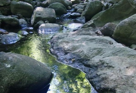 Rozporządzenie dot. Programu rolnośrodowiskowego