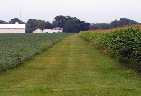 Raport o stanie rolnictwa ekologicznego w Polsce w latach 2009 – 2010